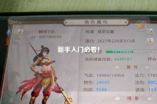 新手入門必看！