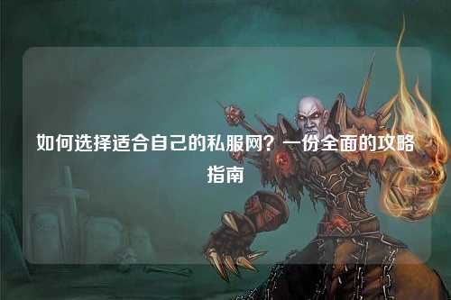 如何選擇適合自己的私服網(wǎng)？一份全面的攻略指南