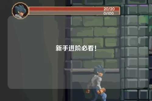 新手進(jìn)階必看！