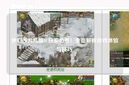 夢(mèng)幻西游私服SF玩家必看！全面解析游戲體驗(yàn)與技巧