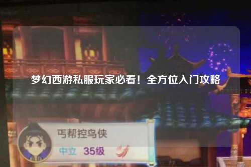 夢(mèng)幻西游私服玩家必看！全方位入門(mén)攻略