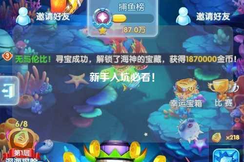 新手入坑必看！