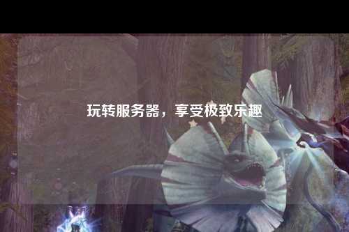 玩轉(zhuǎn)服務(wù)器，享受極致樂趣