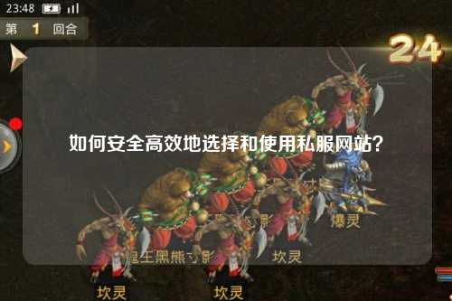 如何安全高效地選擇和使用私服網(wǎng)站？