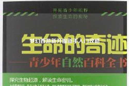 夢(mèng)幻西游新開(kāi)服新手入門攻略
