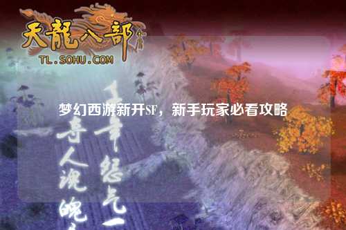 夢(mèng)幻西游新開SF，新手玩家必看攻略