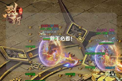 新手必看！