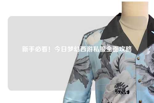 新手必看！今日夢(mèng)幻西游私服全面攻略