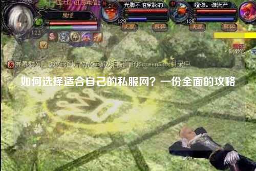 如何選擇適合自己的私服網(wǎng)？一份全面的攻略