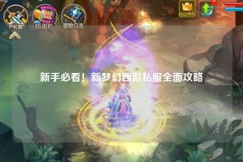 新手必看！新夢幻西游私服全面攻略