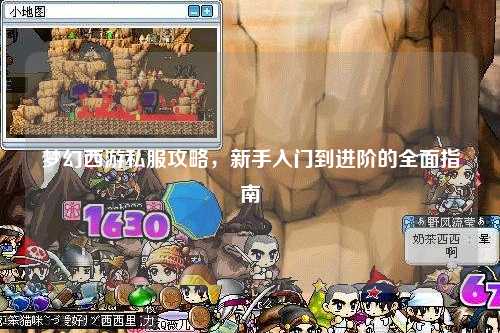 夢(mèng)幻西游私服攻略，新手入門到進(jìn)階的全面指南
