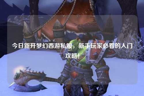 今日新開夢幻西游私服，新手玩家必看的入門攻略！